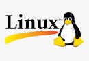 리눅스 프로그래머란? 리눅스 프로그래머에 대한 모든것